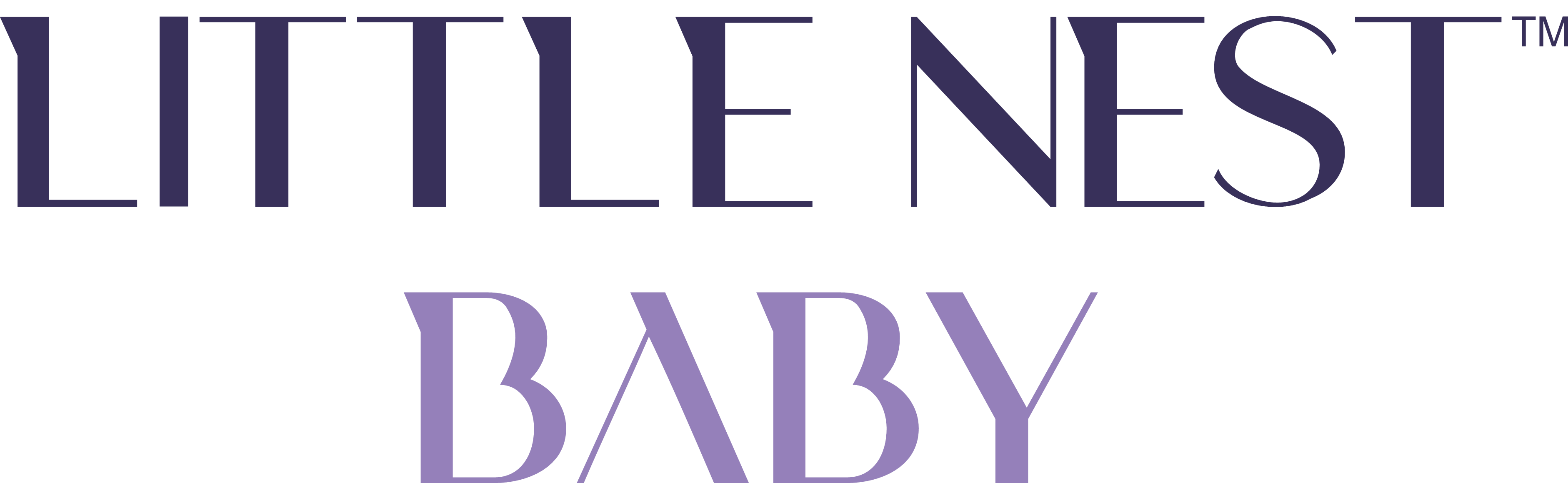 Footer Logo