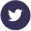 Twitter Icon